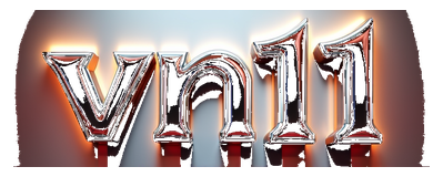 vn11 logo